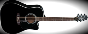 Takamine EF341SC Review