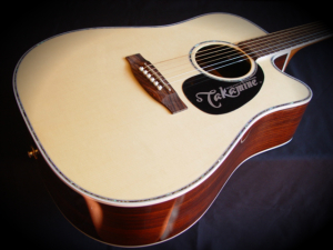 Takamine EG360SC Review