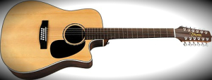 Takamine EG535SC Review