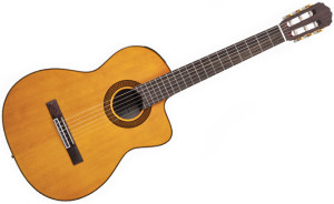 Takamine EG128SC Review