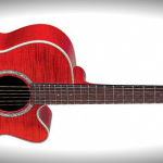 Takamine EG540C Review