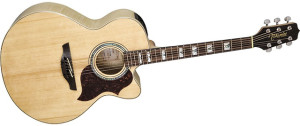 Takamine EG523SC Review