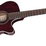 Takamine EG569C Review
