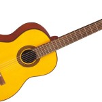 Takamine G124 Review